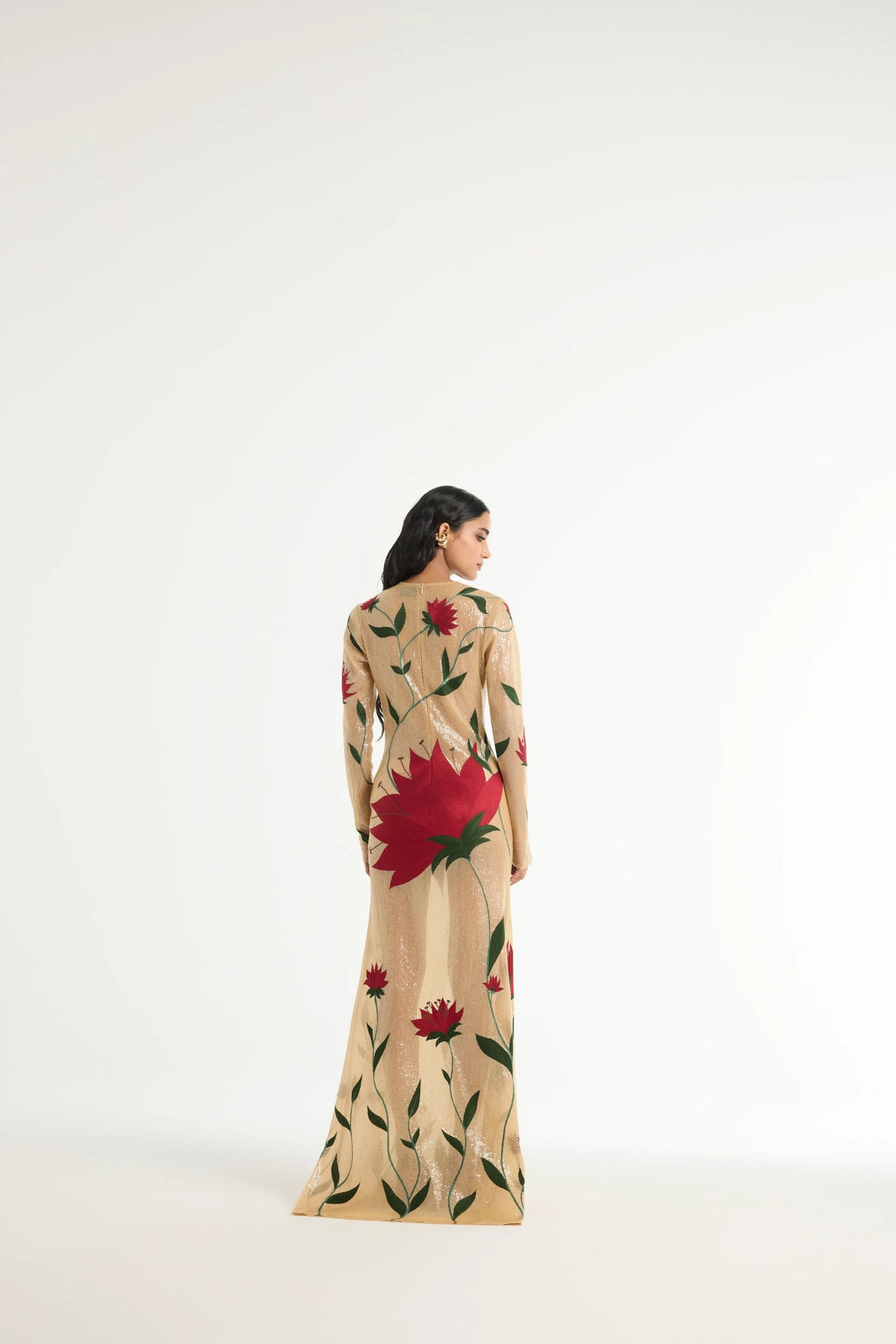 Embroidered Semi-Sheer Gown in Beige