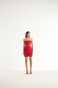 Mesh Bandeau Mini Dress in Red